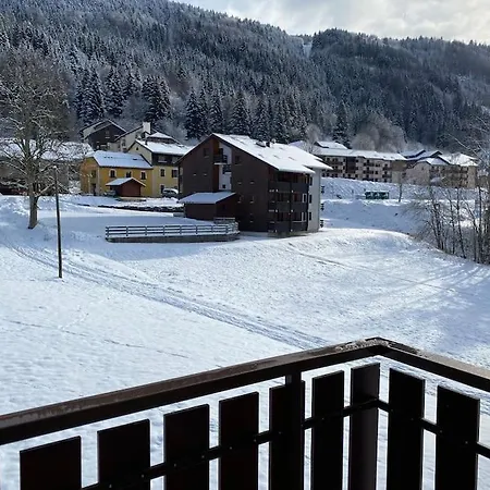 Au Pied Des Pistes De Apartamento