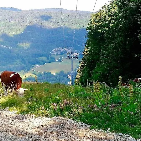 Au Pied Des Pistes De